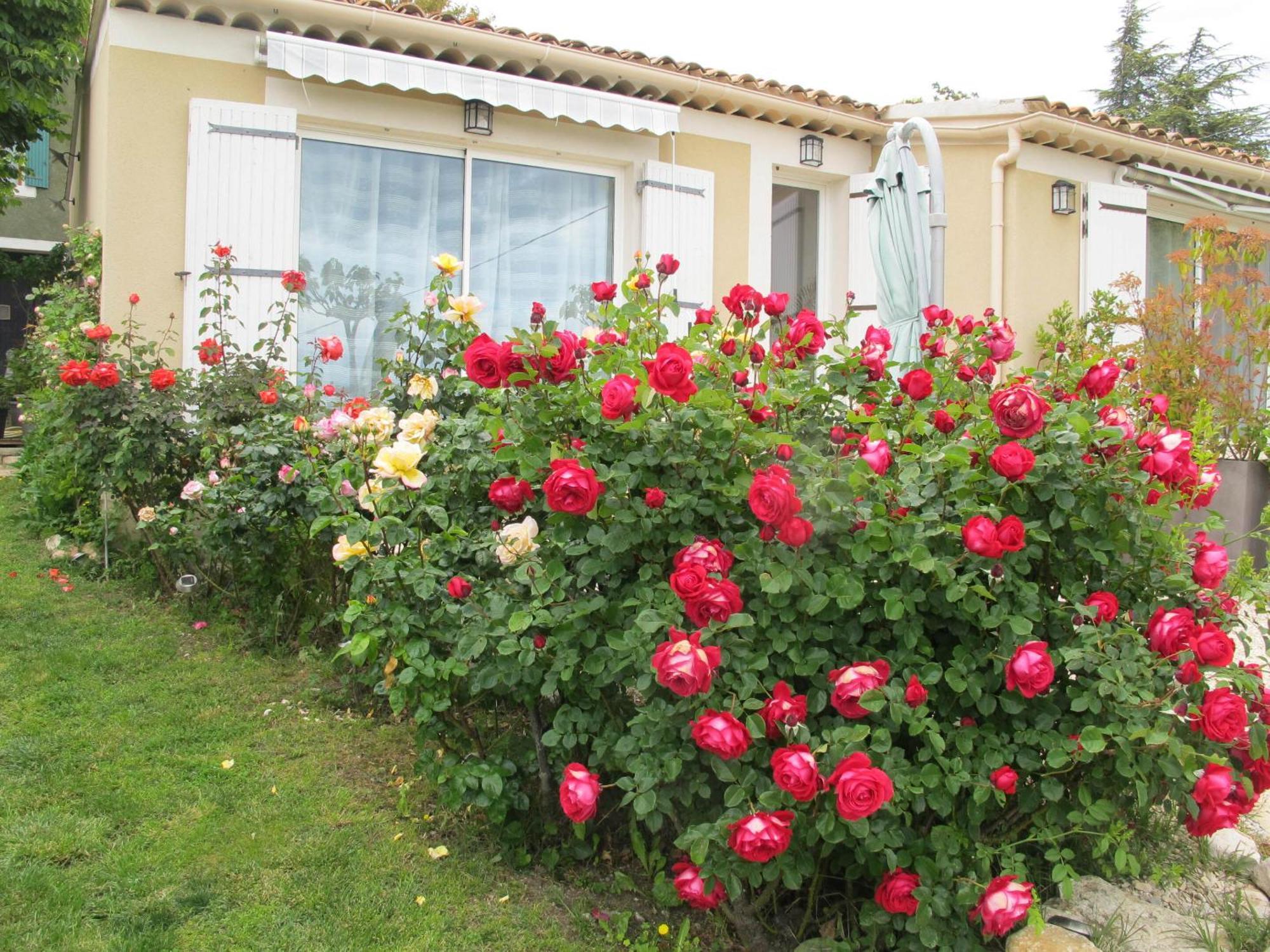 Lou Cardalines Bed & Breakfast Bedoin Bagian luar foto