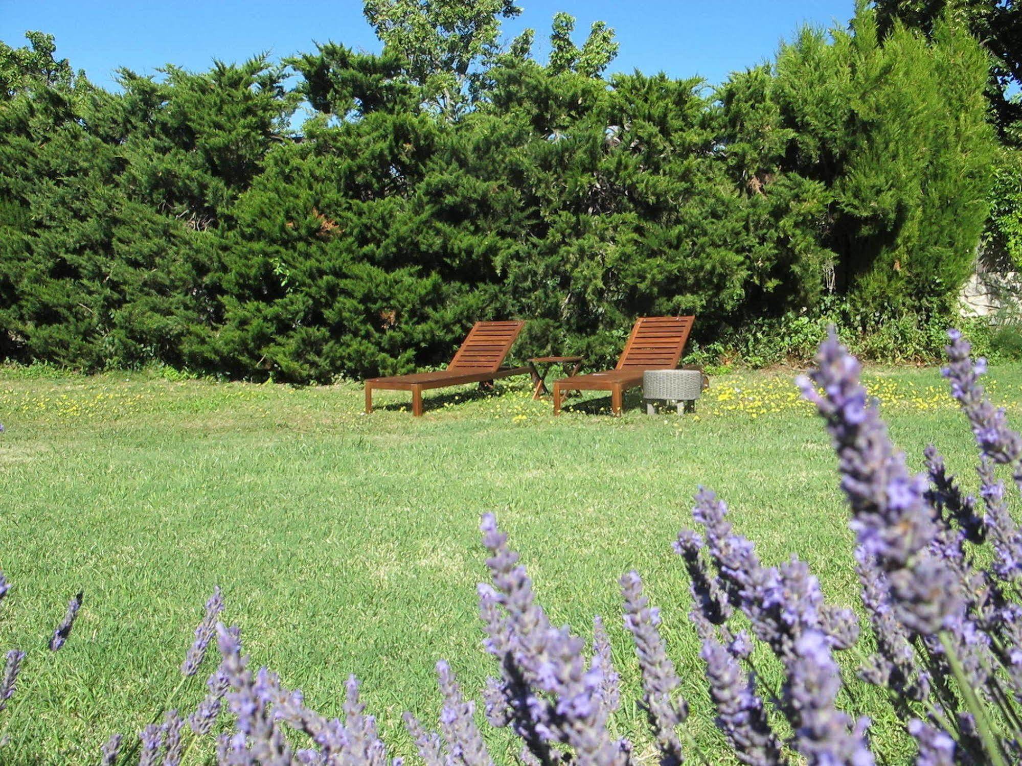 Lou Cardalines Bed & Breakfast Bedoin Bagian luar foto